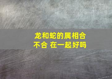 龙和蛇的属相合不合 在一起好吗